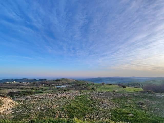 Viewpoint - Image 1