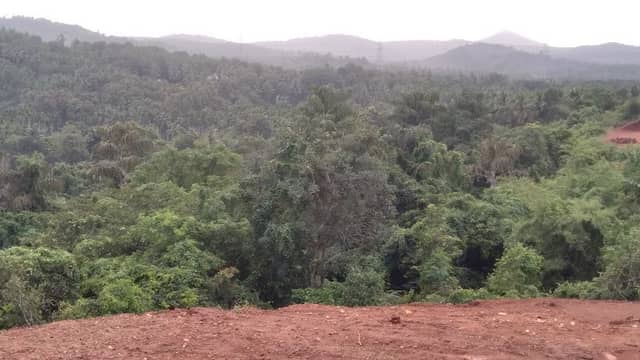oyalamkunn view point - Image 1