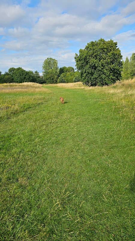Kirby Frith - Image 1