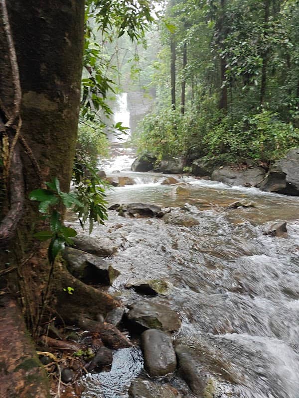Indri Falls - Image 2
