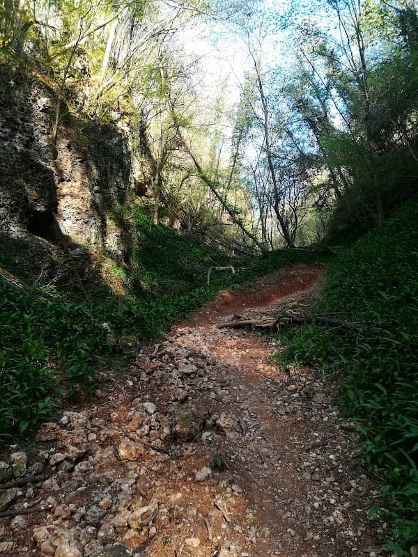Rock Garden - Image 2