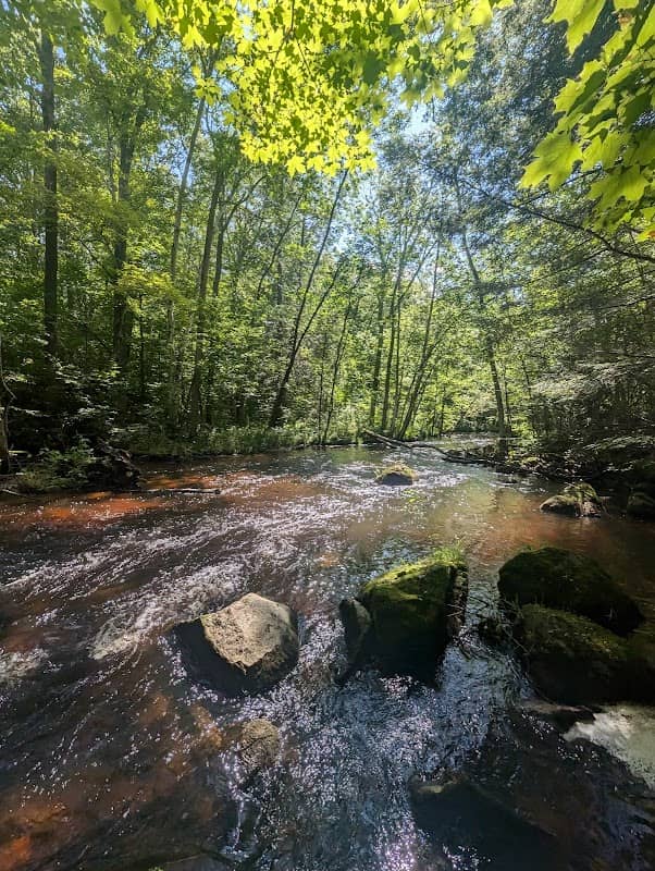 Upper Little Wolf State Natural Area - Image 1