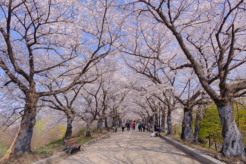 Mongchonjeong Pavilion - Image 1