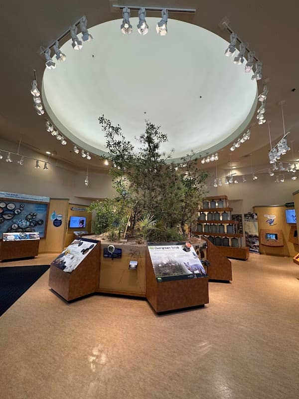 Lyonia Environmental Center - Image 1