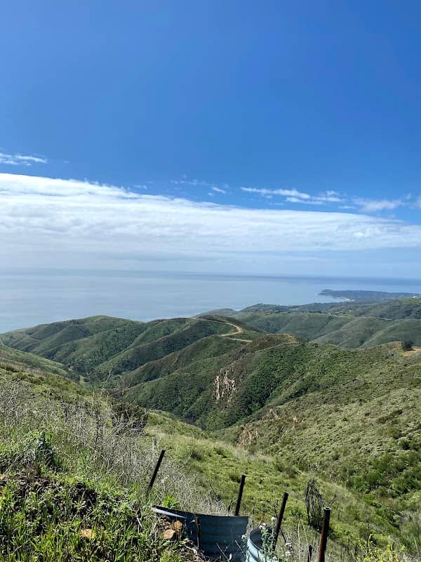 Cameron Nature Preserve at Puerco Canyon - Image 5