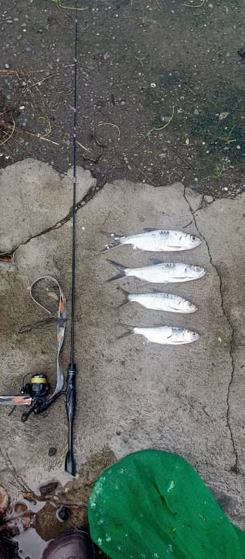 Mang edwin fishing - Image 1