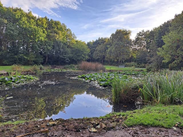 Halewood Park Triangle - Image 1