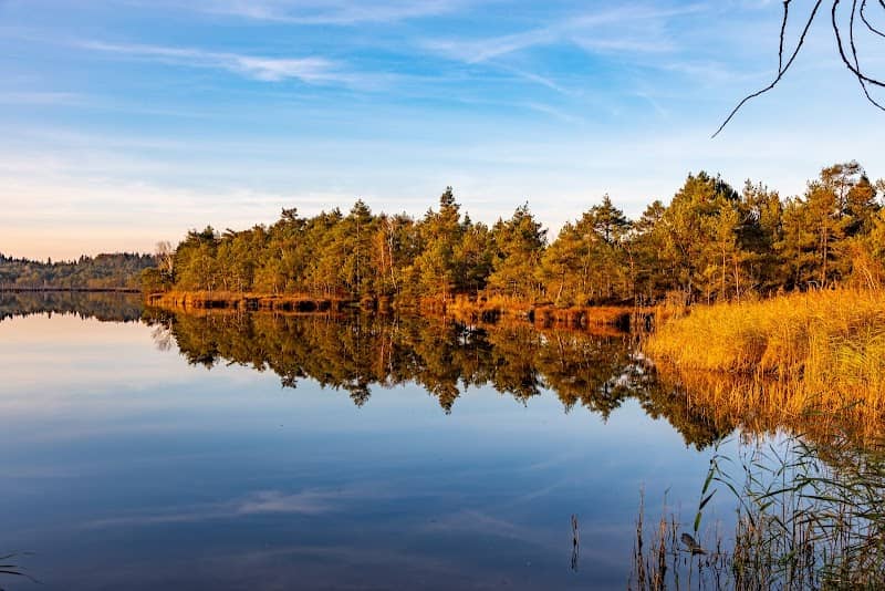 Sitzbank am Moorsee - Image 1