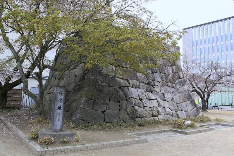 Sakurajoshi Park - Image 1