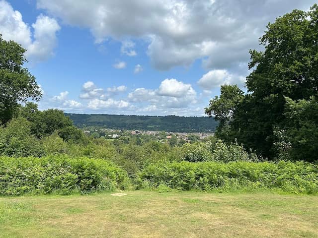 Reigate Park - Image 1