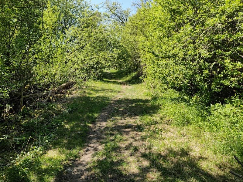P Stortallsrundan - Image 2