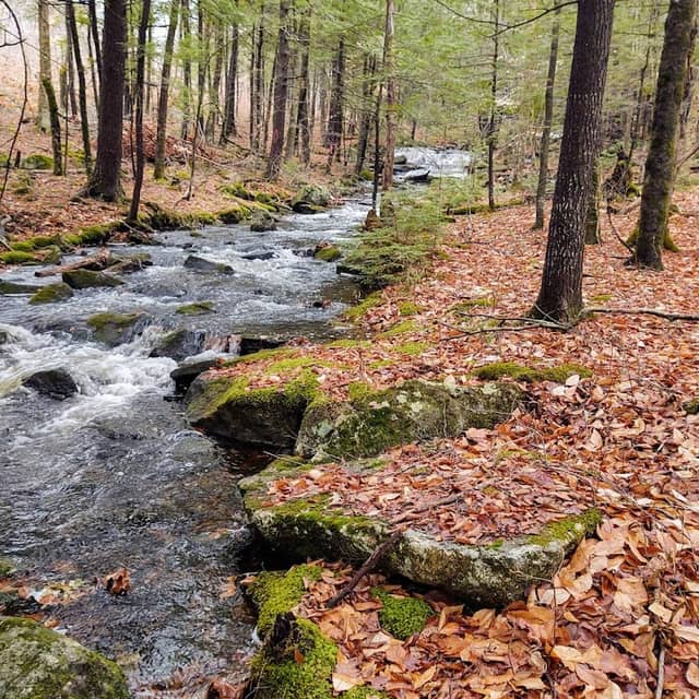 Sander's Hill Trailhead - Belgrade Regional Conservation Alliance - Image 1