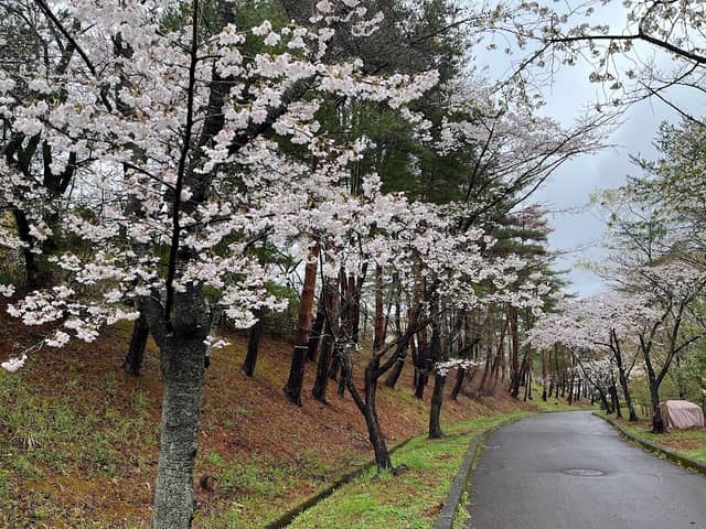 Sakuragaoka Park - Image 1