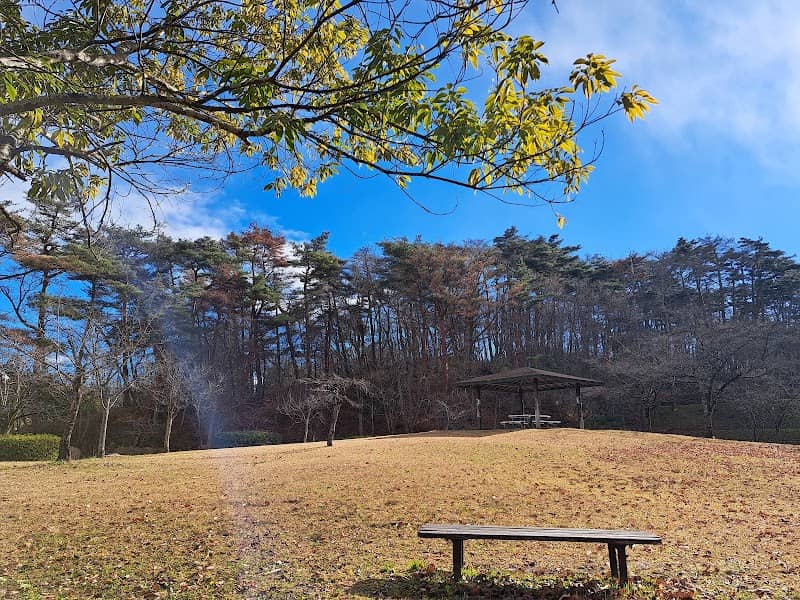 Sakuragaoka Park - Image 2