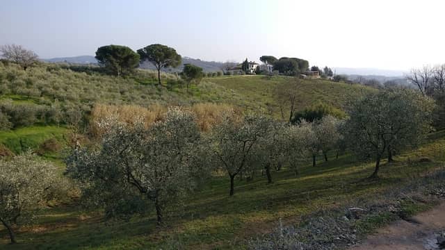 Giardini delle Viottole π³ - Image 2