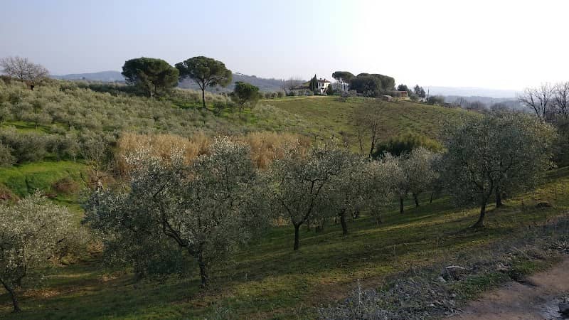Giardini delle Viottole π³ - Image 2