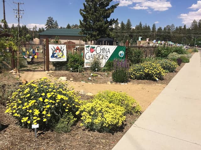 Big Bear Xeriscape Demonstration Garden and Big Bear Community Garden Project - Image 2