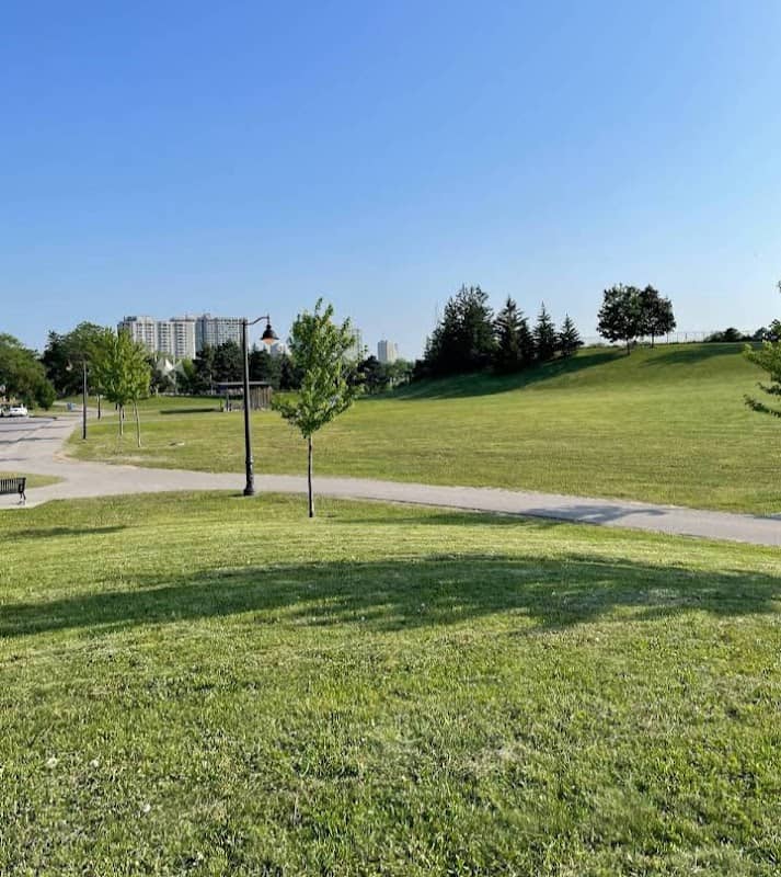 McClure Meadows Park - Image 1