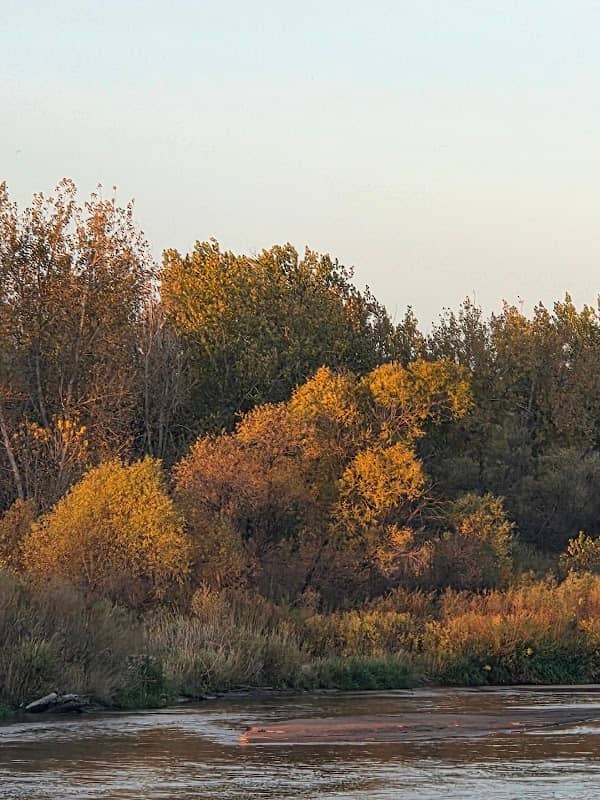 Riverside Park Nature Trails - Image 2