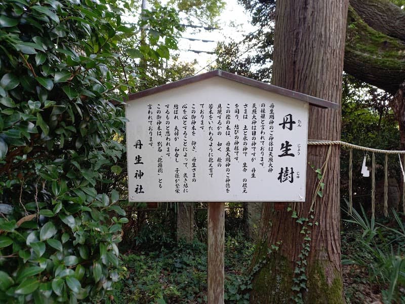 丹生樹 - Image 1