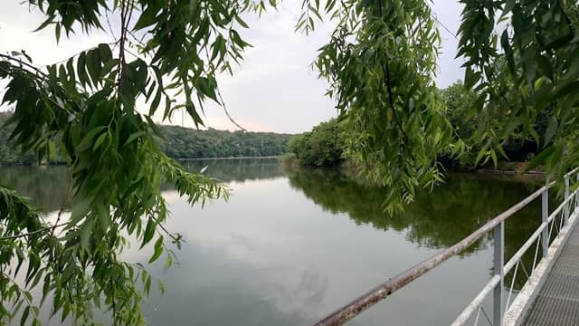 Balta Pasărea - Image 1