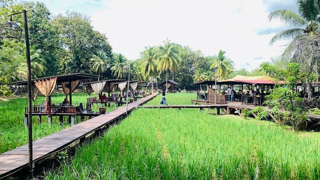 Laman Padi Langkawi - Image 1