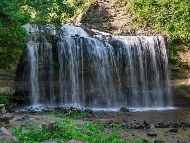 Wilke Glen and Cascade Falls - Image 1