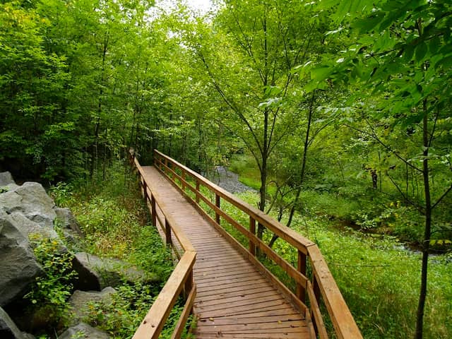Wilke Glen and Cascade Falls - Image 2