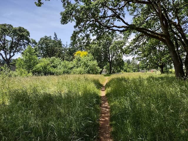 Woodmansee Park - Image 2