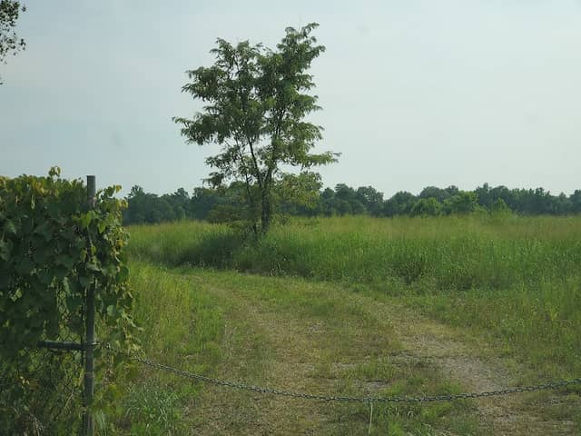 Three Notch Park - Image 1