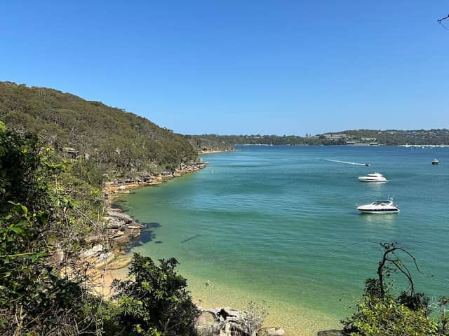 Spit to Manly Walk - Image 3