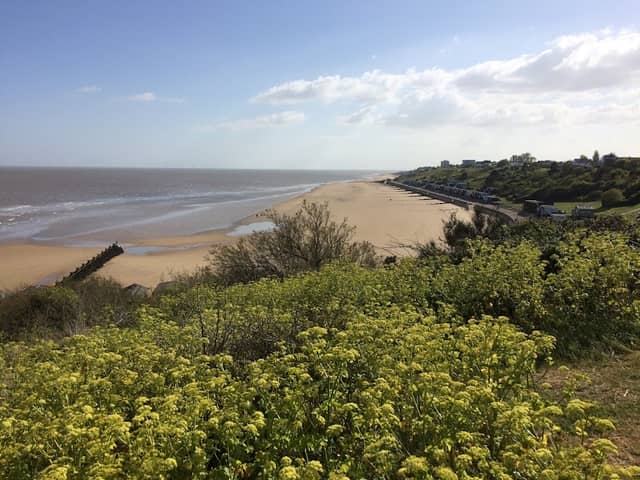 The Leas Beach - Image 2