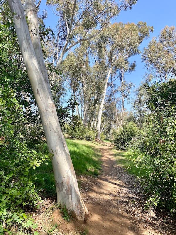 Thibodo Park - Image 1
