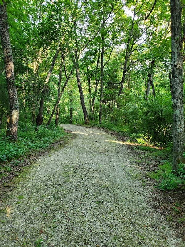 Tiger Trail - Image 1