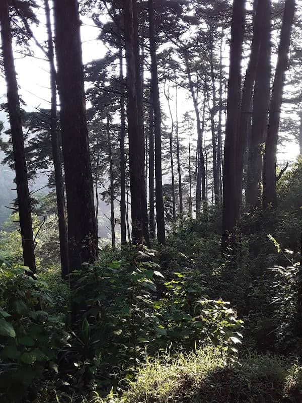 Panacal - Acatenango - Image 3