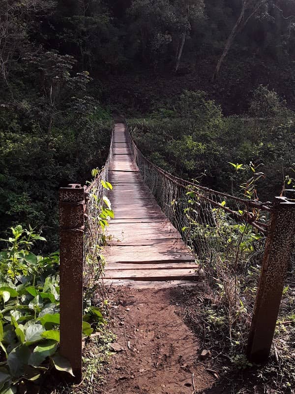 Panacal - Acatenango - Image 2