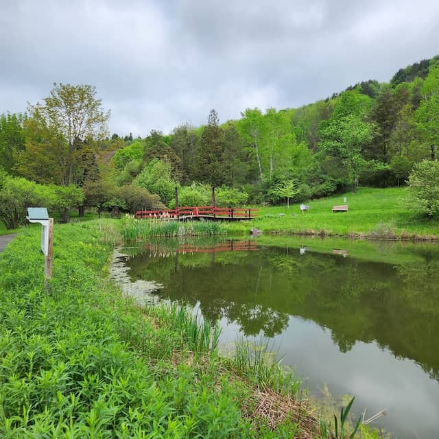 Nannen Arboretum - Image 2
