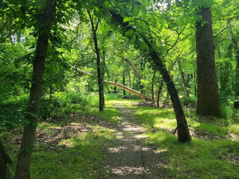 Willkomm Trailhead - Image 1