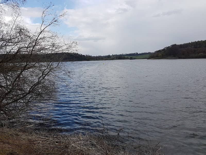 Ogston Carr - Image 1