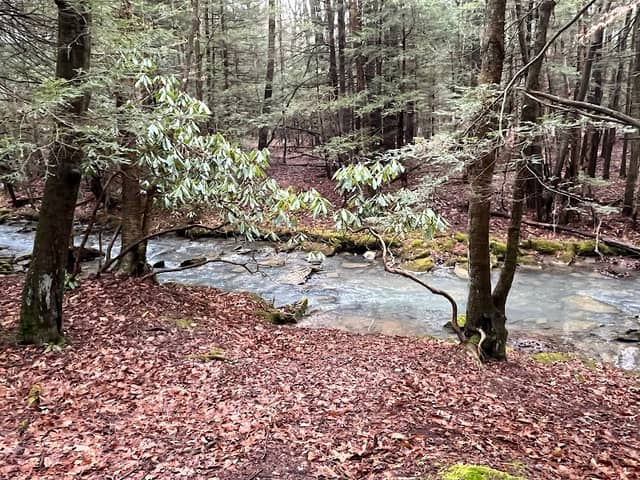 James W. McIntyre Trail - Trail Access 3 - Image 1