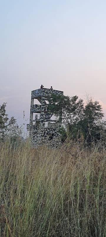 Ambazari Back Waters (Bird Watching) - Image 1