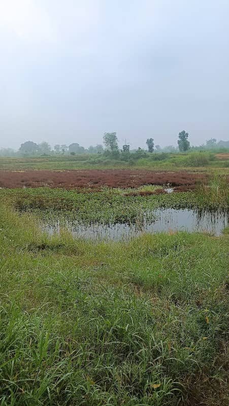 Bendungan Pulorejo - Image 1