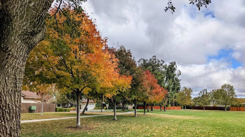 Fairlands Park - Image 1