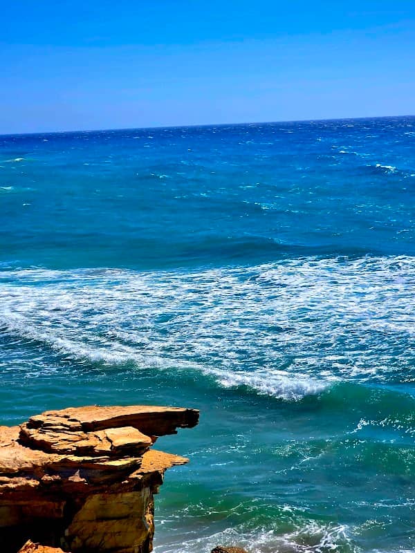 Ronny`s and Lian`s - View Point - Image 1