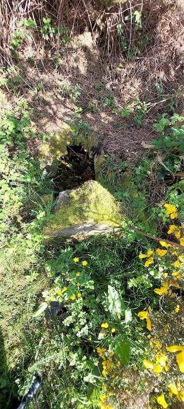Shadens Hill - Image 2