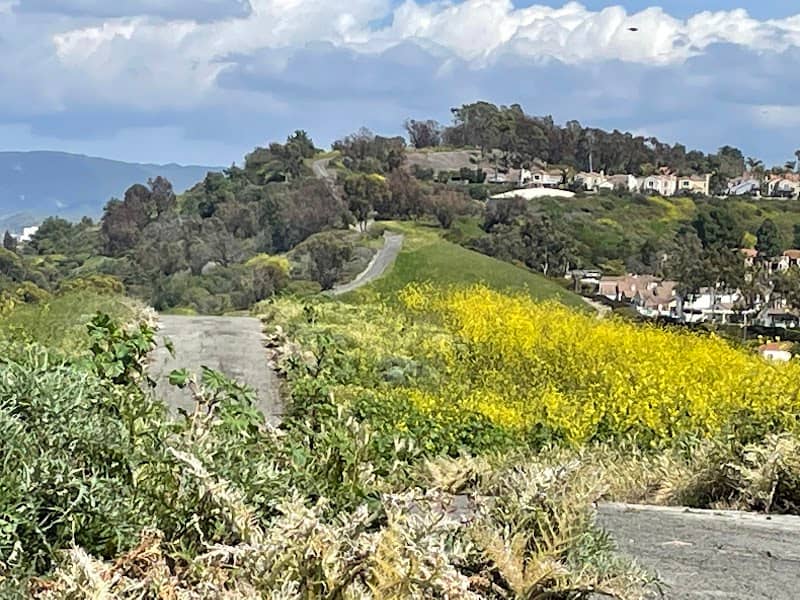 Knob Hill - Image 2