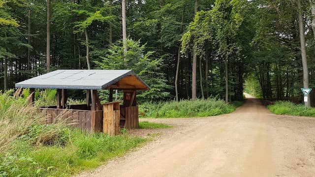 Lindenberger Wald - Image 1