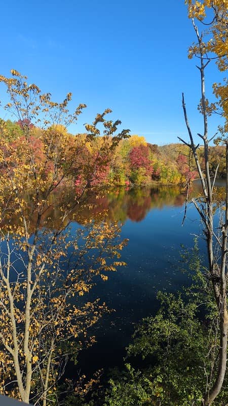 Treetop Trail - Image 1