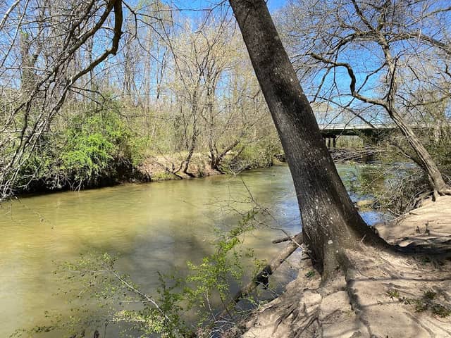 Pitts Park - Image 2
