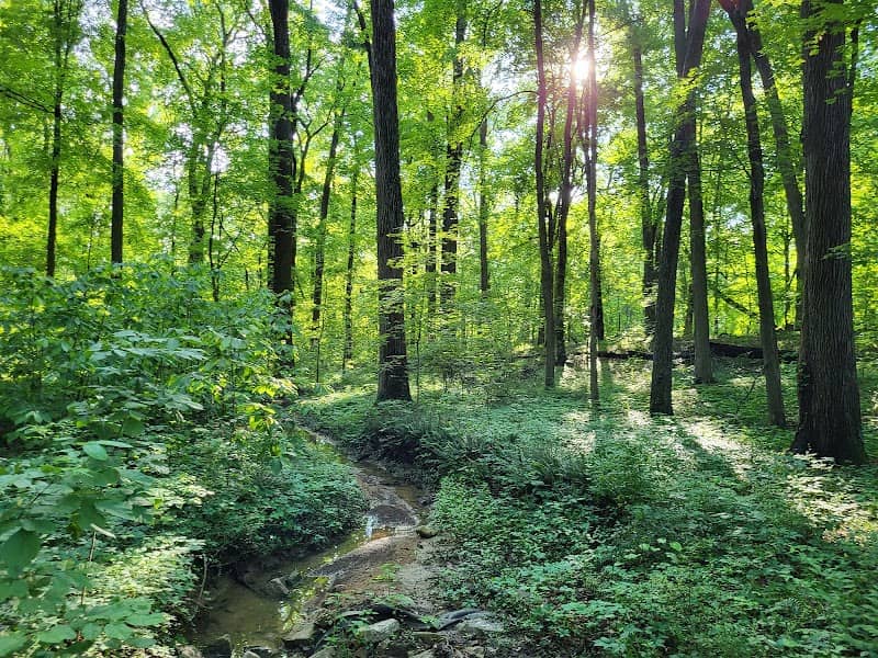 North Woods Nature Trails - Image 1